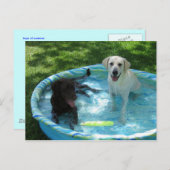 Garçons de la carte postale été (Devant / Derrière)