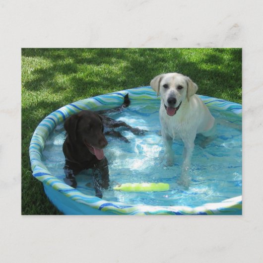 Garçons de la carte postale été (Devant)