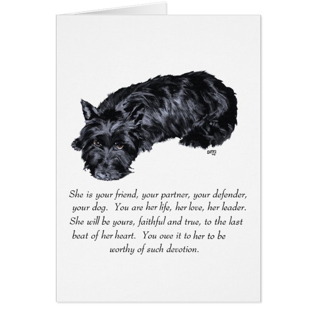 Garde de Scottish Terrier - FEMELLE (Devant)