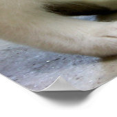 Garde-toi (Chat) Beaux-Arts Impression (Coin)