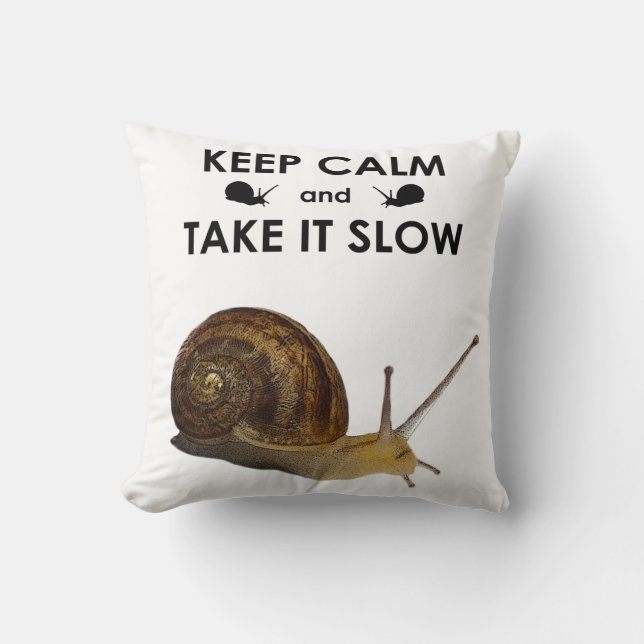 Garde ton calme et prends ton temps Coussin (chois (Recto)