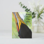 Garde ton menton, carte postale (Debout devant)