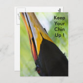 Garde ton menton, carte postale (Devant / Derrière)