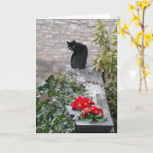 Garden Cat Birthday Kaart (Gele Bloem)