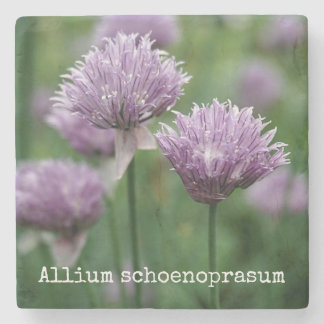 Garden Chives Stenen Onderzetter