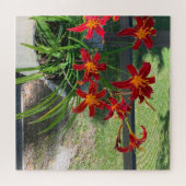 Garden Daylilies Flowers Summer Photo Natuur Legpuzzel (Horizontaal)