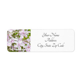 Garden Delight Etiket