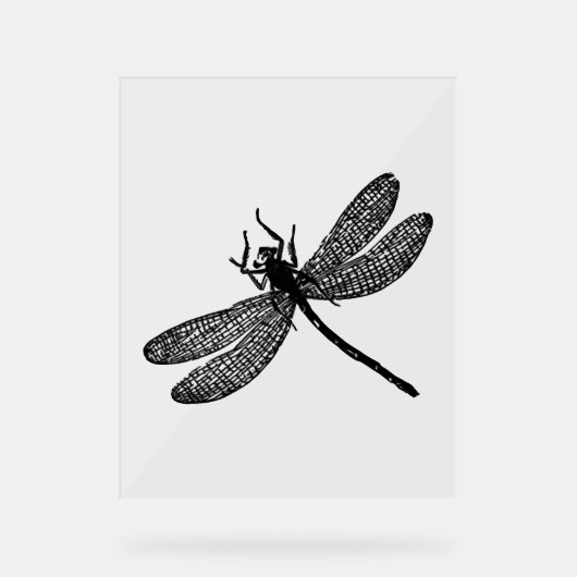 Garden Dragonfly Imprimer Cadeau Tee (Recto)
