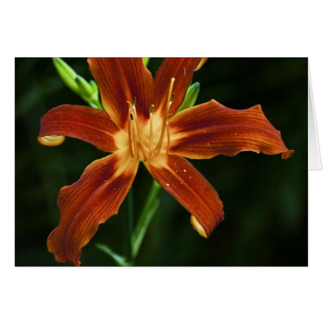 Garden Flame Kaart (Voorkant Horizontaal)