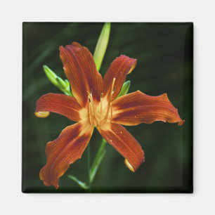 Garden Flame Magnet Magneet