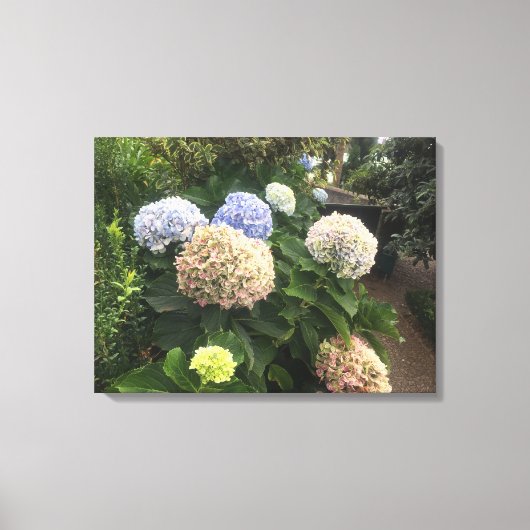 Garden Flowers Canvas Afdruk (Voorkant)