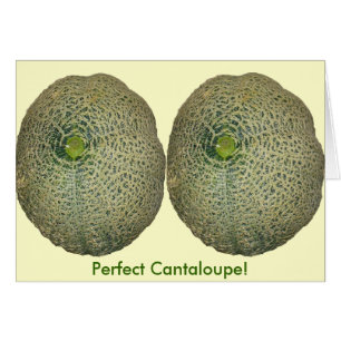 Garden Fresh Cantaloupe