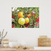 Garden Fresh Heirloom Tomaten Poster (Keuken)