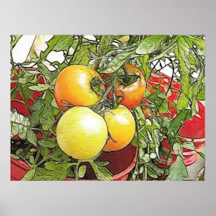 Garden Fresh Heirloom Tomaten Poster