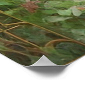 Garden Gate en Wisteria Poster (Hoek)