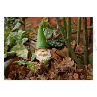 Garden gnome
