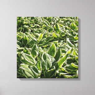 Garden Green Leafy Planten Vaderdag Dad Gift Canvas Afdruk