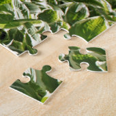 Garden Green White Hosta Planten Summer Spring Coo Legpuzzel (Zijkant)