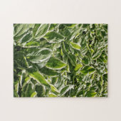 Garden Green White Hosta Planten Summer Spring Coo Legpuzzel (Horizontaal)