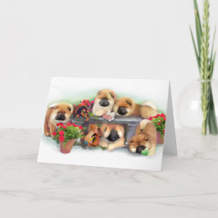 "GARDEN HELPERS" carte d'art à la chow