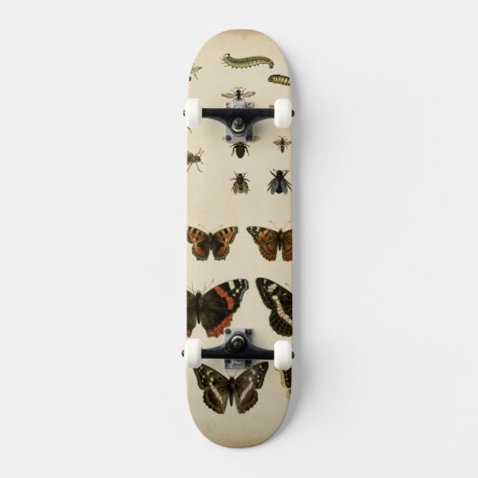 Garden Insects van Vision Studio Skateboard (Voorkant)