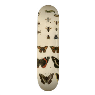 Garden Insects van Vision Studio Skateboard