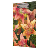 Garden Lilies Klembord (Links)
