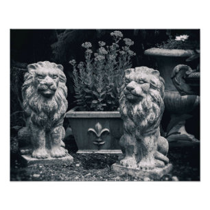 Garden Lions Foto Afdruk