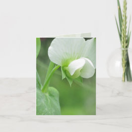 Garden Notecard voor elke gelegenheid Kaart