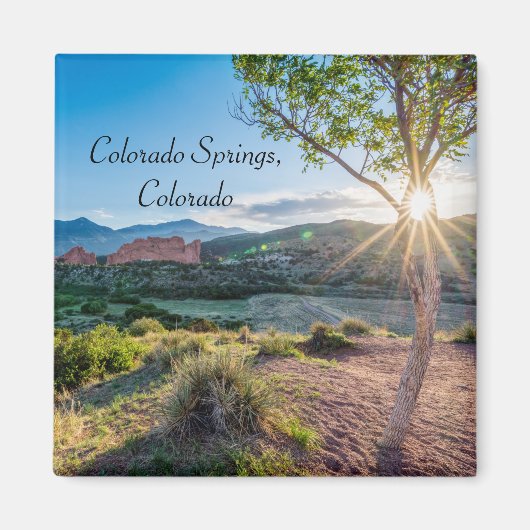 Garden Of Gods Tree Sunburst Square Magnet (Devant)