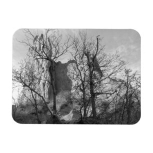 Garden of the Gods Colorado Park Foto Magneet