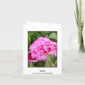 GARDEN PEONY PHOTO FLORAL NOTE CARD (Dos)