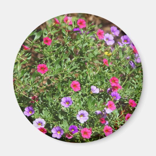 Garden Petunia Magnet Magneet (Voorkant)