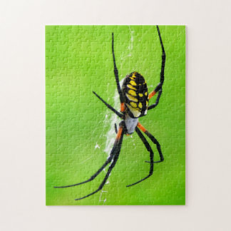 Garden Spider Legpuzzel