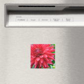 Garden Star Dahlia Magnet (In Situ (Lave-vaisselle))