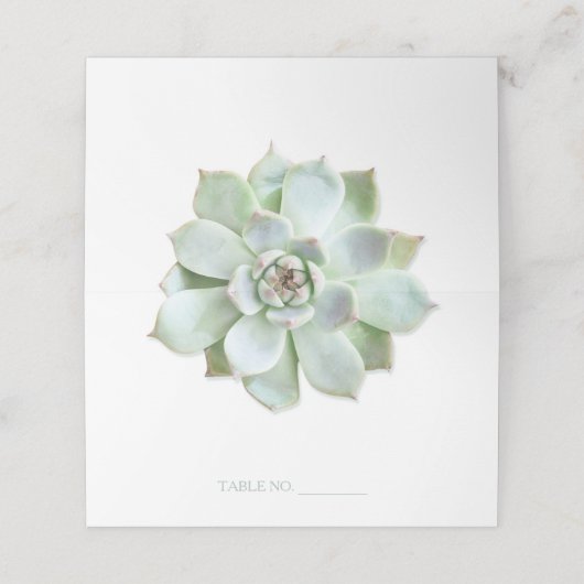 Garden Succulent Cactus Wedding (Buitenkant ongevouwen)