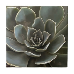Garden Succulent Green Gray Tones Realistic Art Tegeltje
