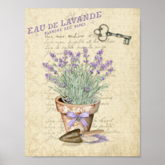 Garden Terracotta Pot French Lavender Poster