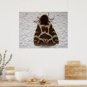 Garden tijgermot poster (Keuken)