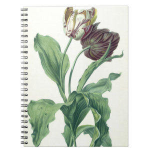 Garden Tulip uit "Opera Botanica", gegraveerd door Notitieboek
