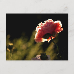 Garden van de buren briefkaart