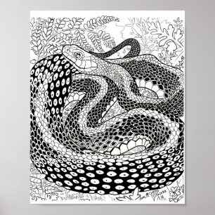 Gardener Snake Study Beyond Skin Coloring Page Poster