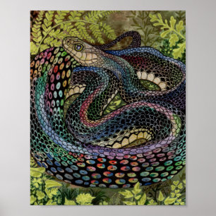 Gardener Snake Study Beyond Skin Poster