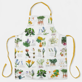 Gardener's harvest and cooking apron. schort