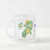 Gardener's teatime mug / herbs no2 (Gauche)