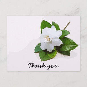 Gardenia bloemen Sympathie Hartelijk dank vlakke K Briefkaart