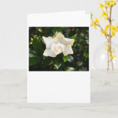 Gardenia, carte (Fleur jaune)