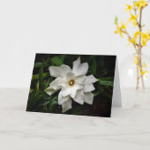 Gardenia, carte (Fleur jaune)