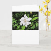 Gardenia, carte (Fleur jaune)