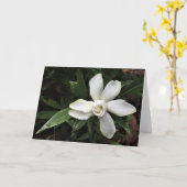 Gardenia, carte (Fleur jaune)